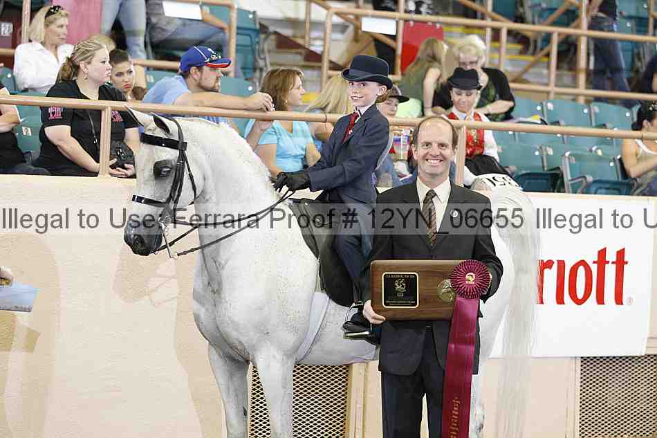 Proof 12yn_06655