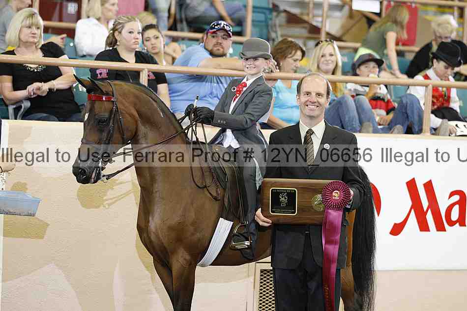 Proof 12yn_06656