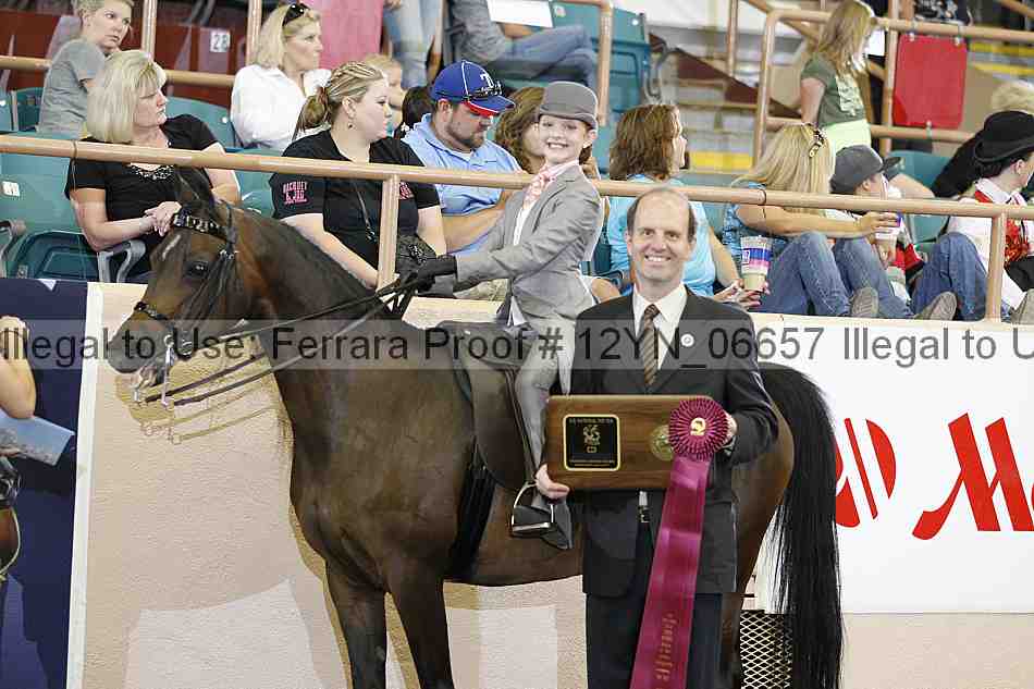 Proof 12yn_06657
