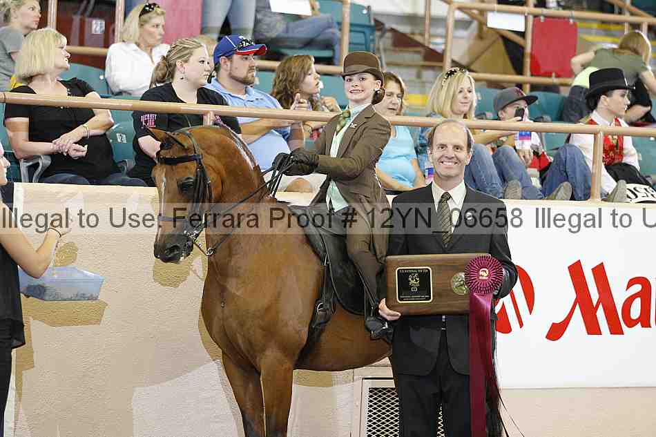 Proof 12yn_06658