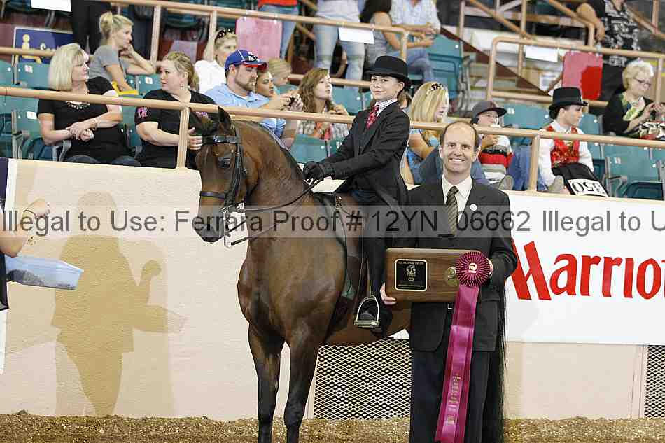 Proof 12yn_06662