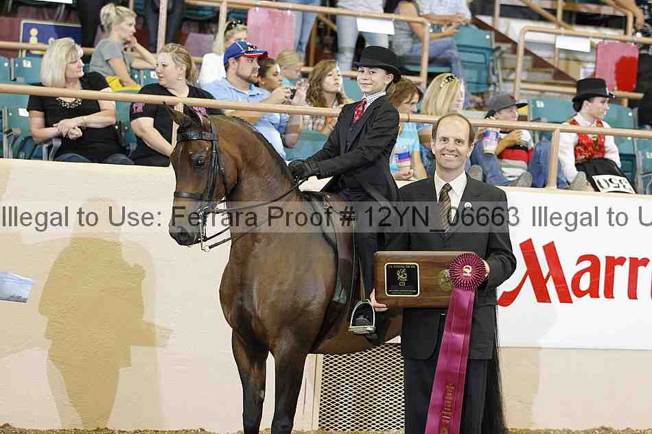 Proof 12yn_06663
