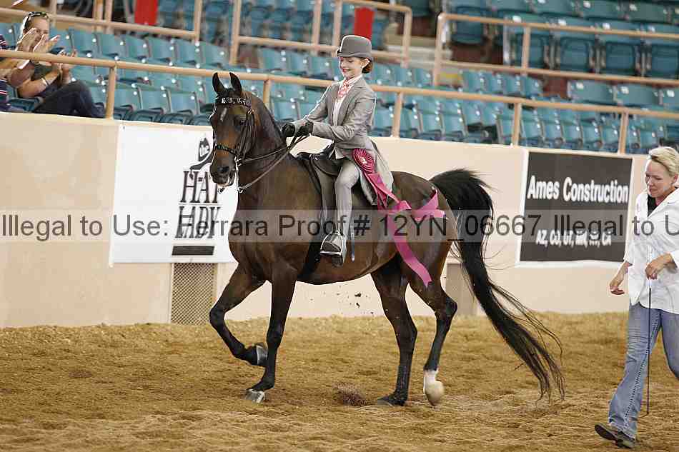 Proof 12yn_06667