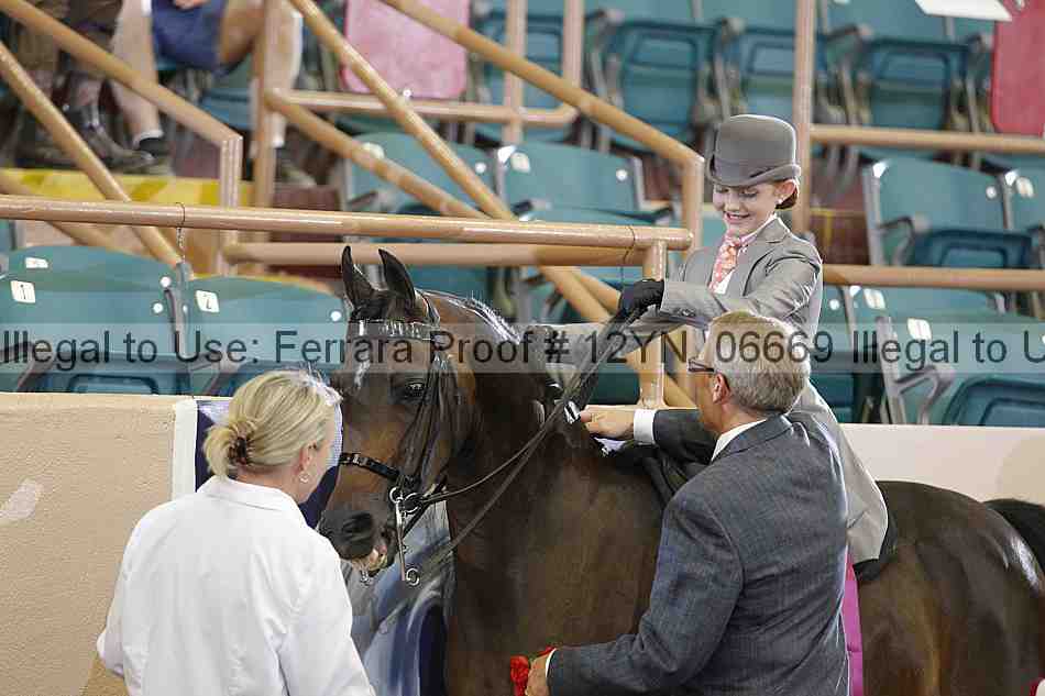 Proof 12yn_06669