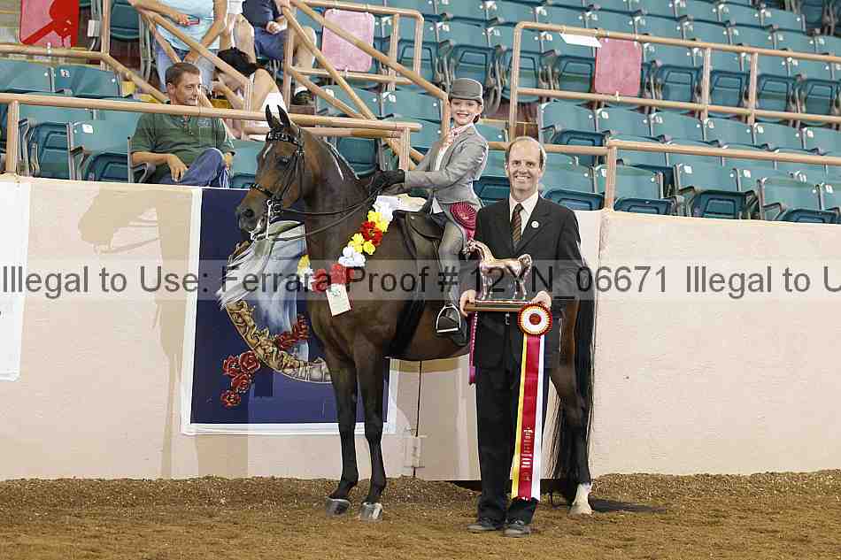 Proof 12yn_06671