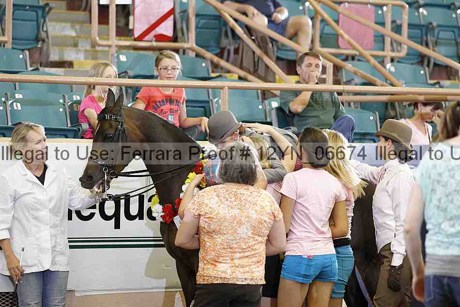 Proof 12yn_06674