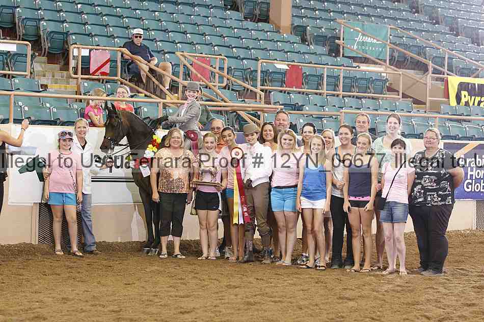 Proof 12yn_06677