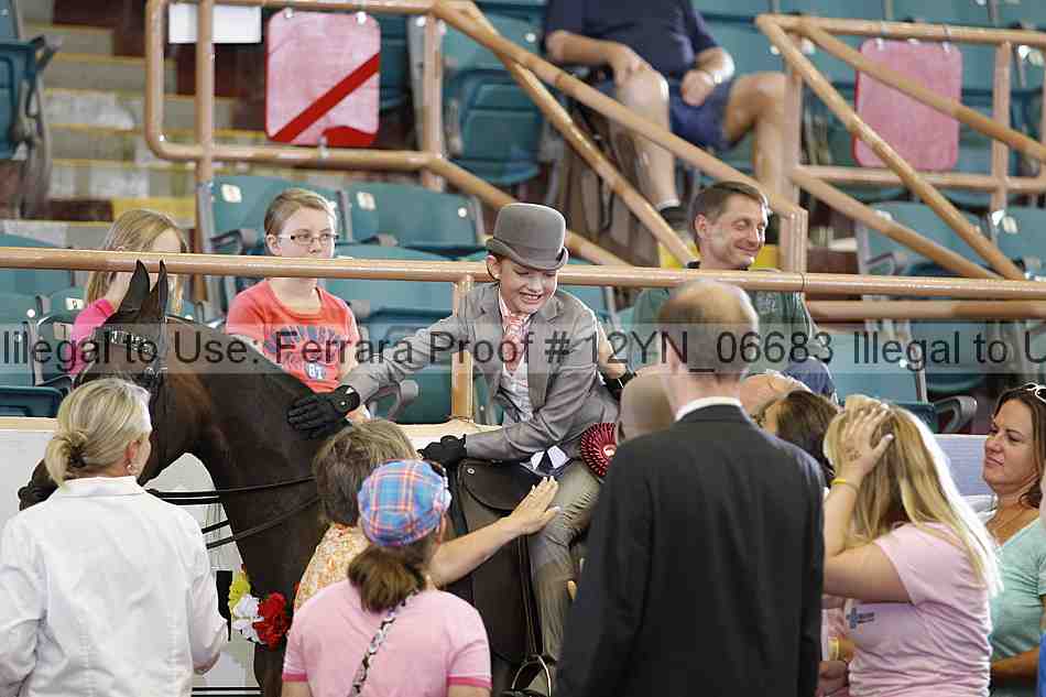 Proof 12yn_06683