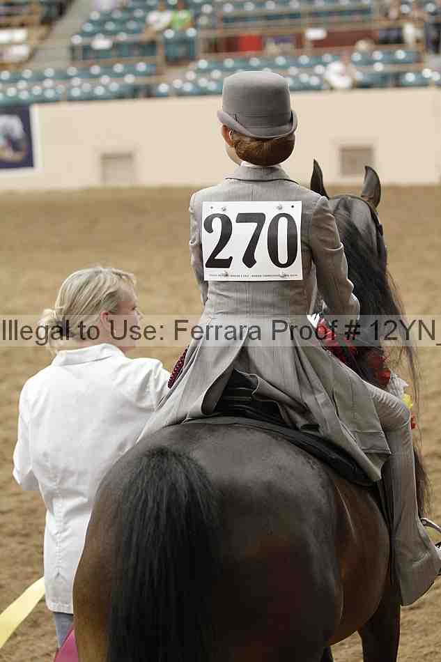 Proof 12yn_06690
