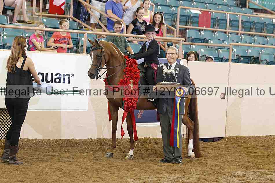 Proof 12yn_06697