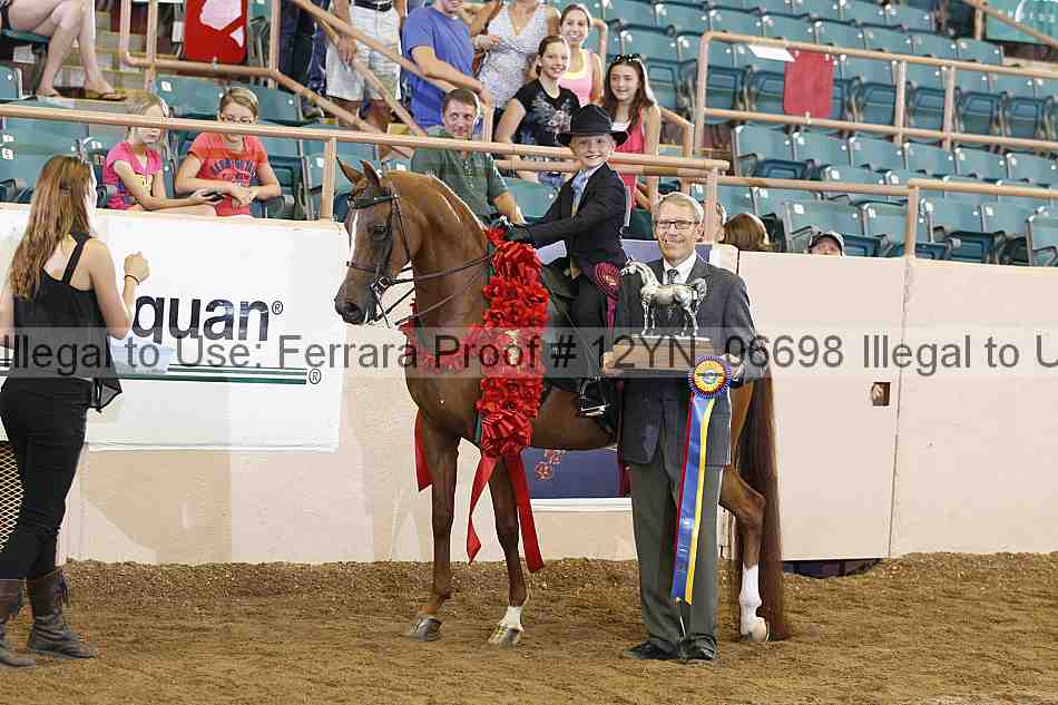 Proof 12yn_06698