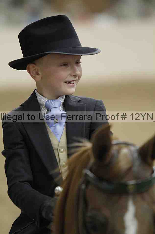 Proof 12yn_06699