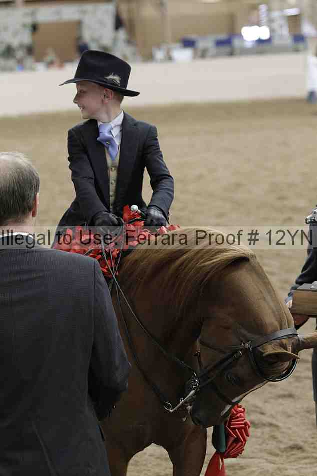 Proof 12yn_06702