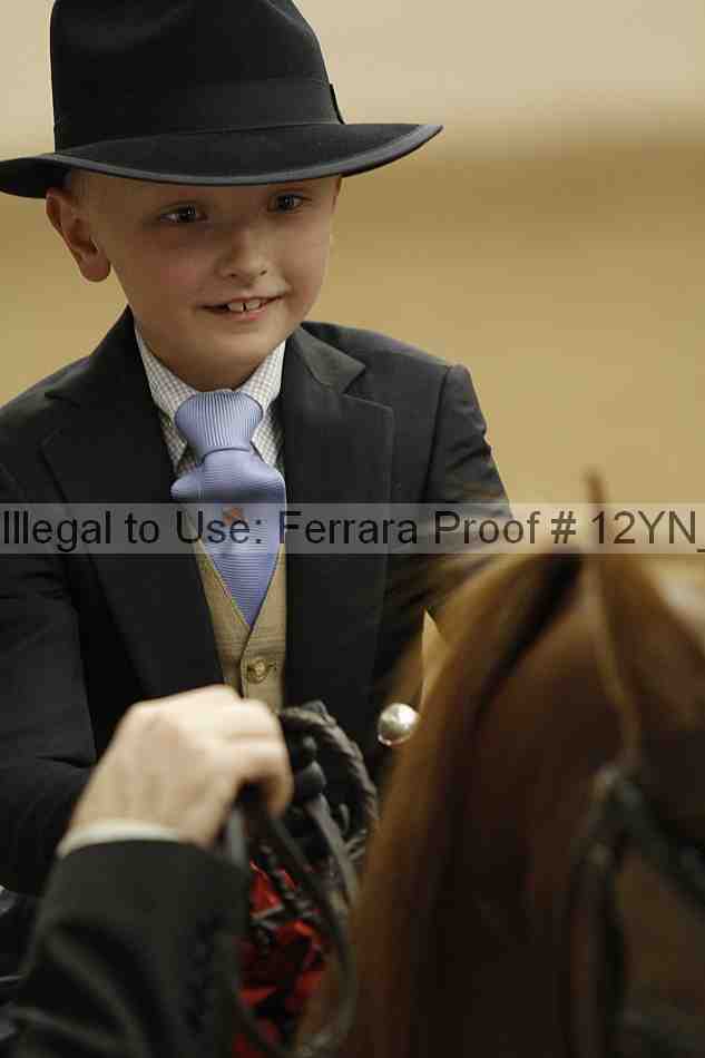 Proof 12yn_06705