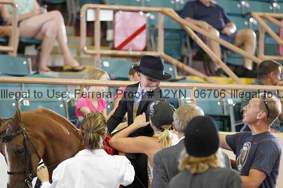 Proof 12yn_06706