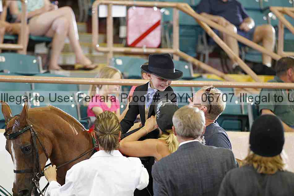 Proof 12yn_06707