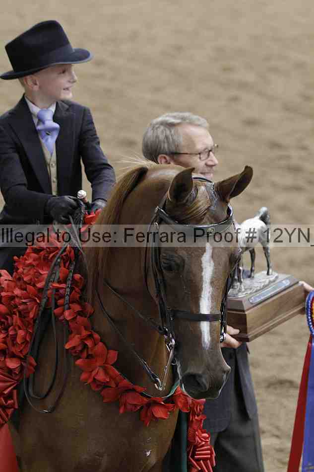 Proof 12yn_06708