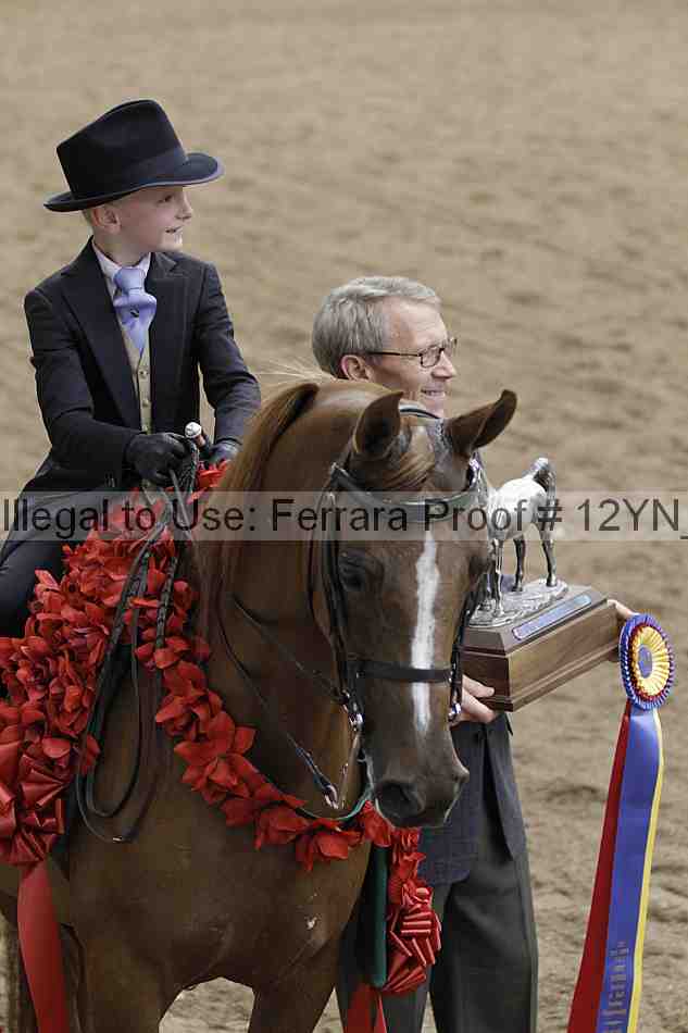 Proof 12yn_06709