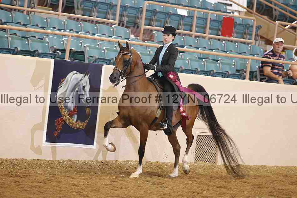 Proof 12yn_06724
