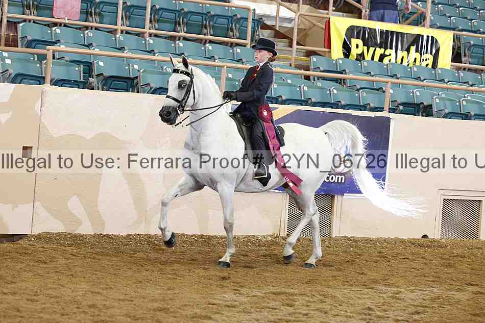Proof 12yn_06726