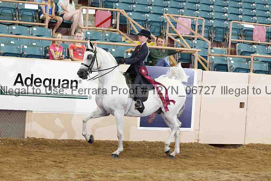 Proof 12yn_06727