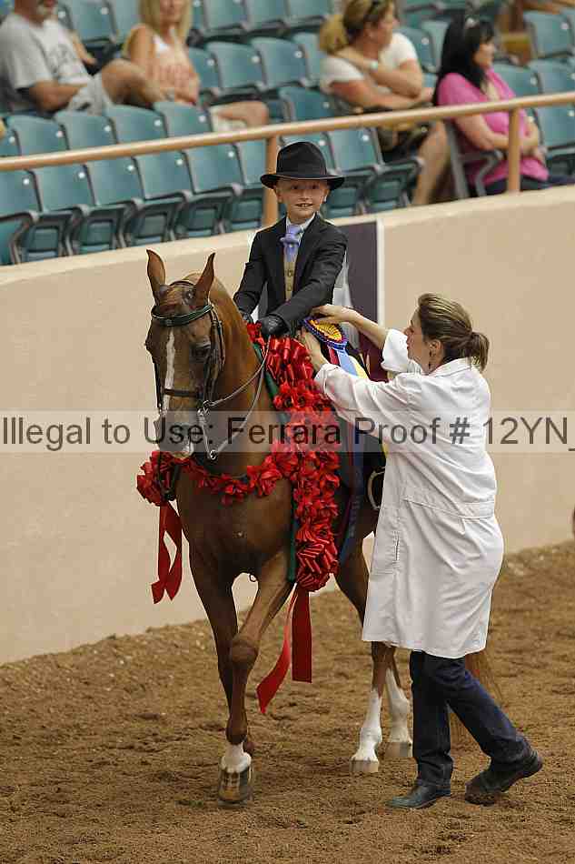 Proof 12yn_06728
