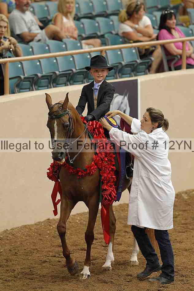 Proof 12yn_06729