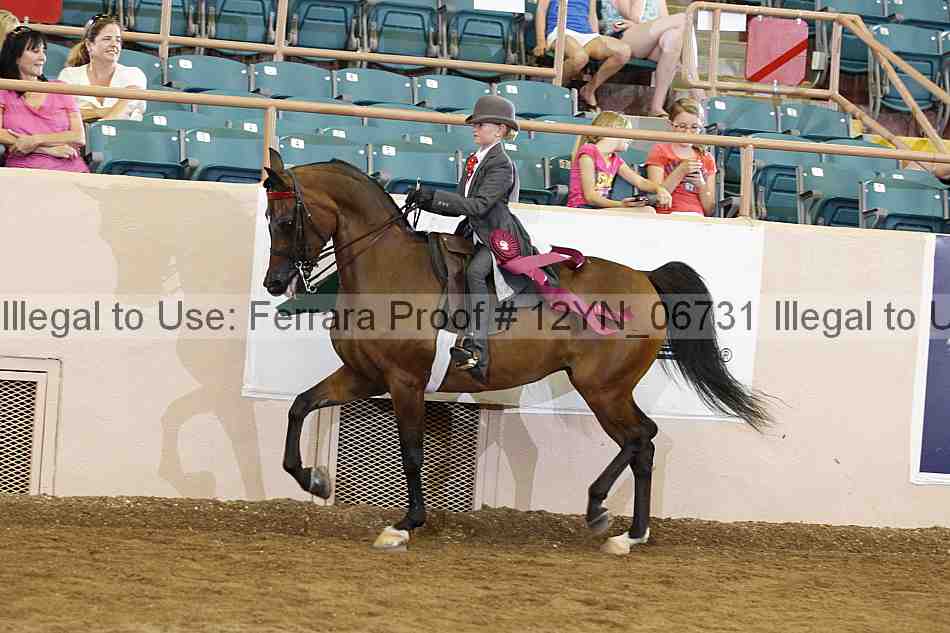 Proof 12yn_06731