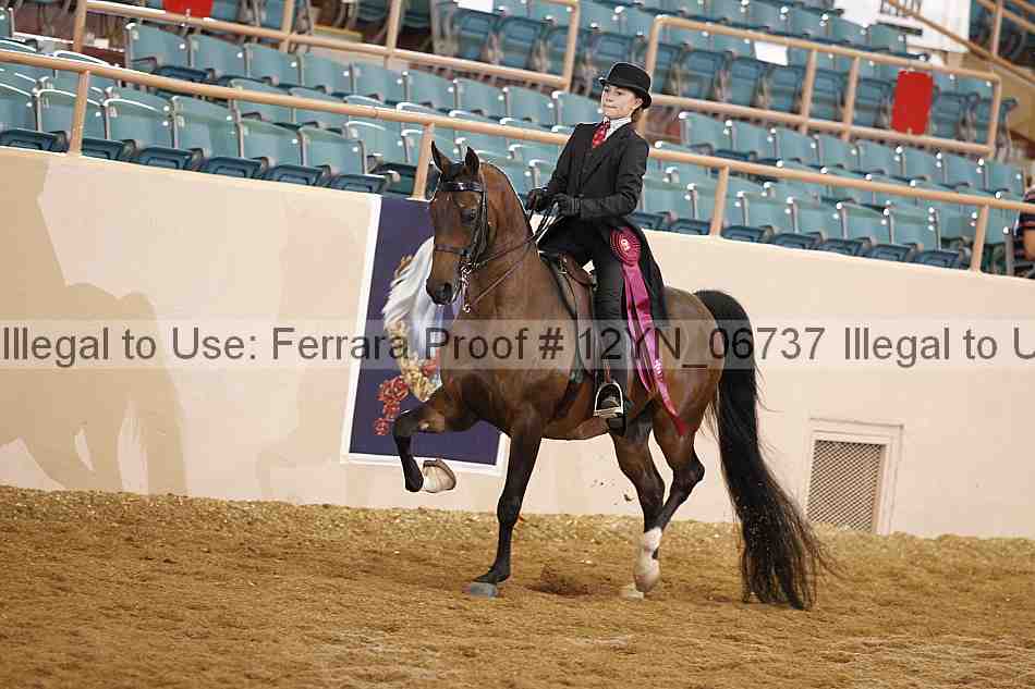 Proof 12yn_06737