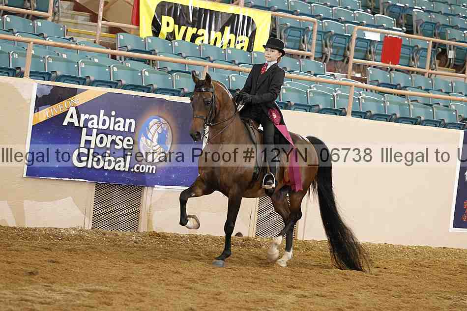 Proof 12yn_06738