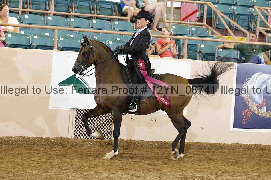 Proof 12yn_06741