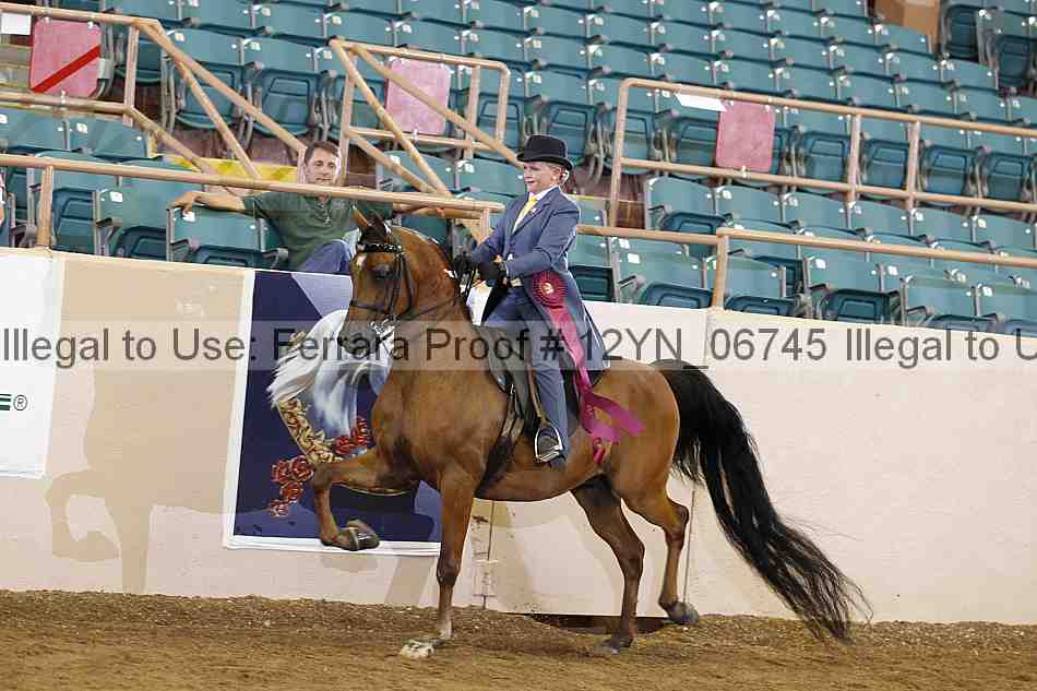 Proof 12yn_06745