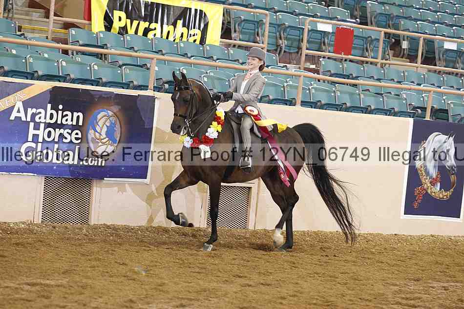 Proof 12yn_06749