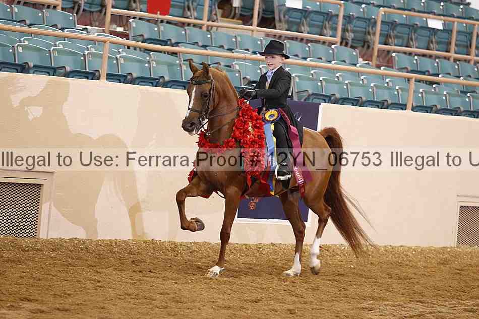 Proof 12yn_06753