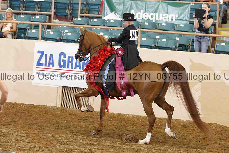 Proof 12yn_06755