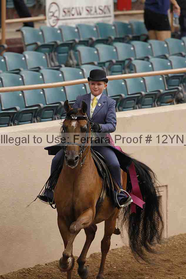 Proof 12yn_06758