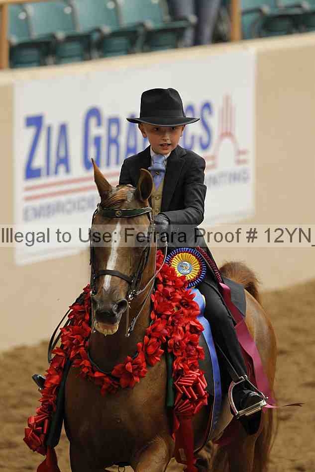Proof 12yn_06770
