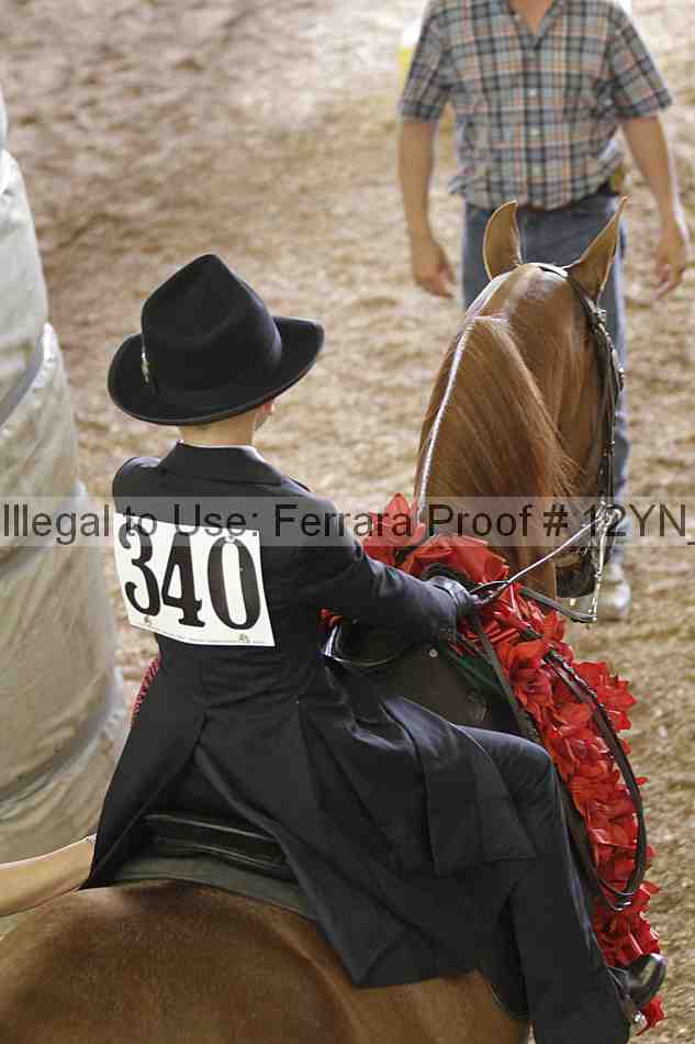 Proof 12yn_06771