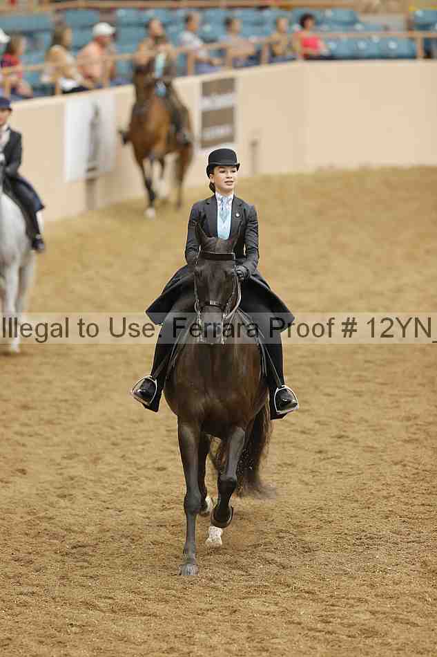 Proof 12yn_10770