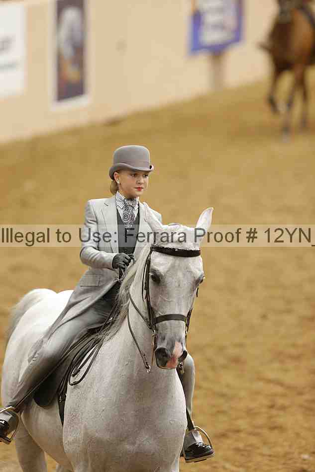 Proof 12yn_10774