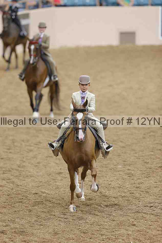 Proof 12yn_10778