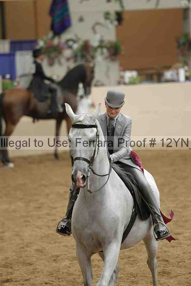 Proof 12yn_10877