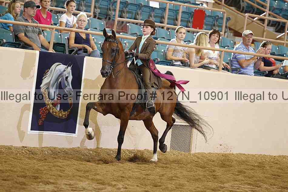 Proof 12yn_10901