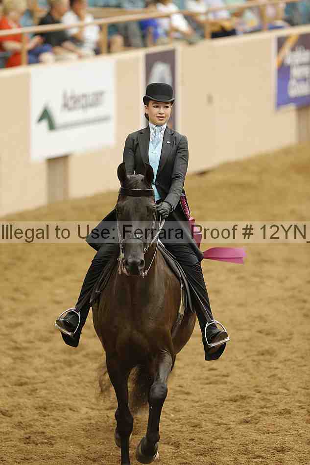 Proof 12yn_10906
