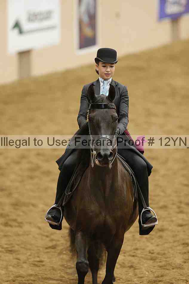 Proof 12yn_10907