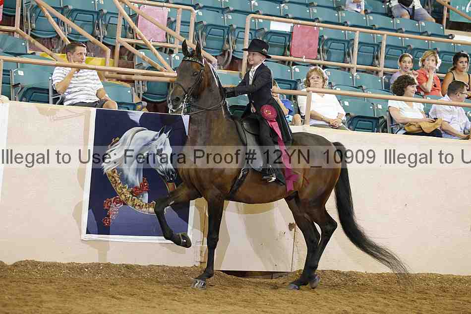 Proof 12yn_10909