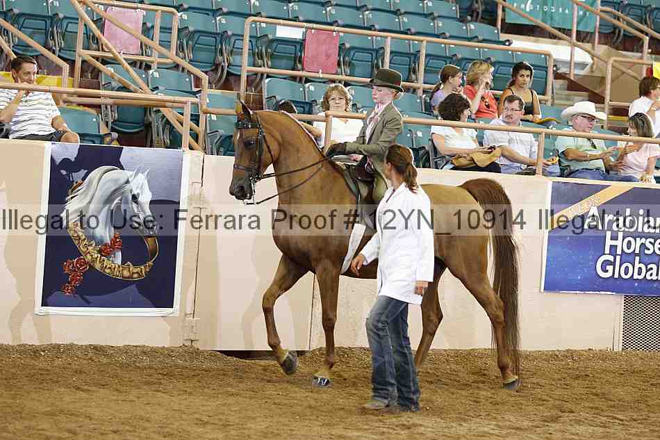 Proof 12yn_10914