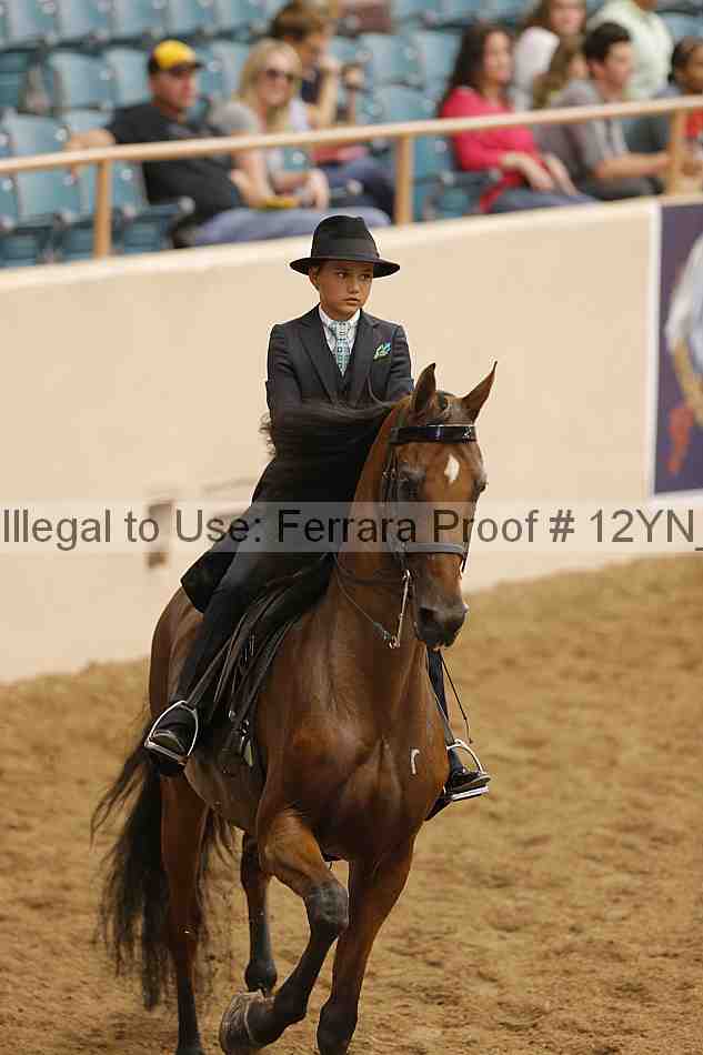 Proof 12yn_10917