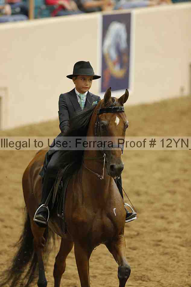 Proof 12yn_10918