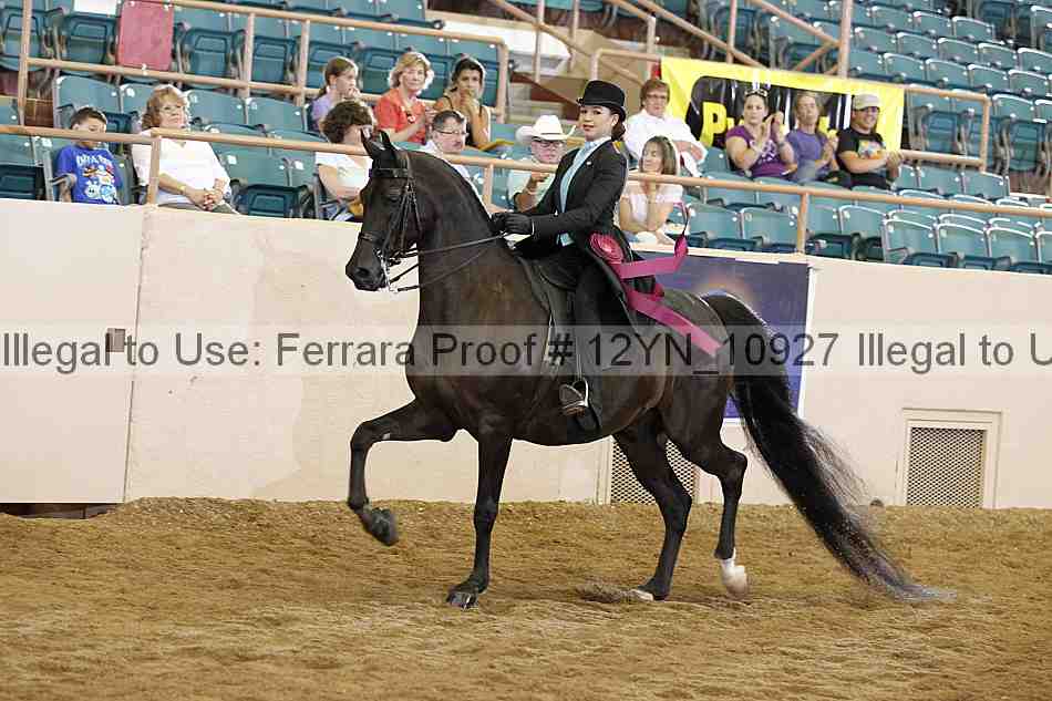 Proof 12yn_10927